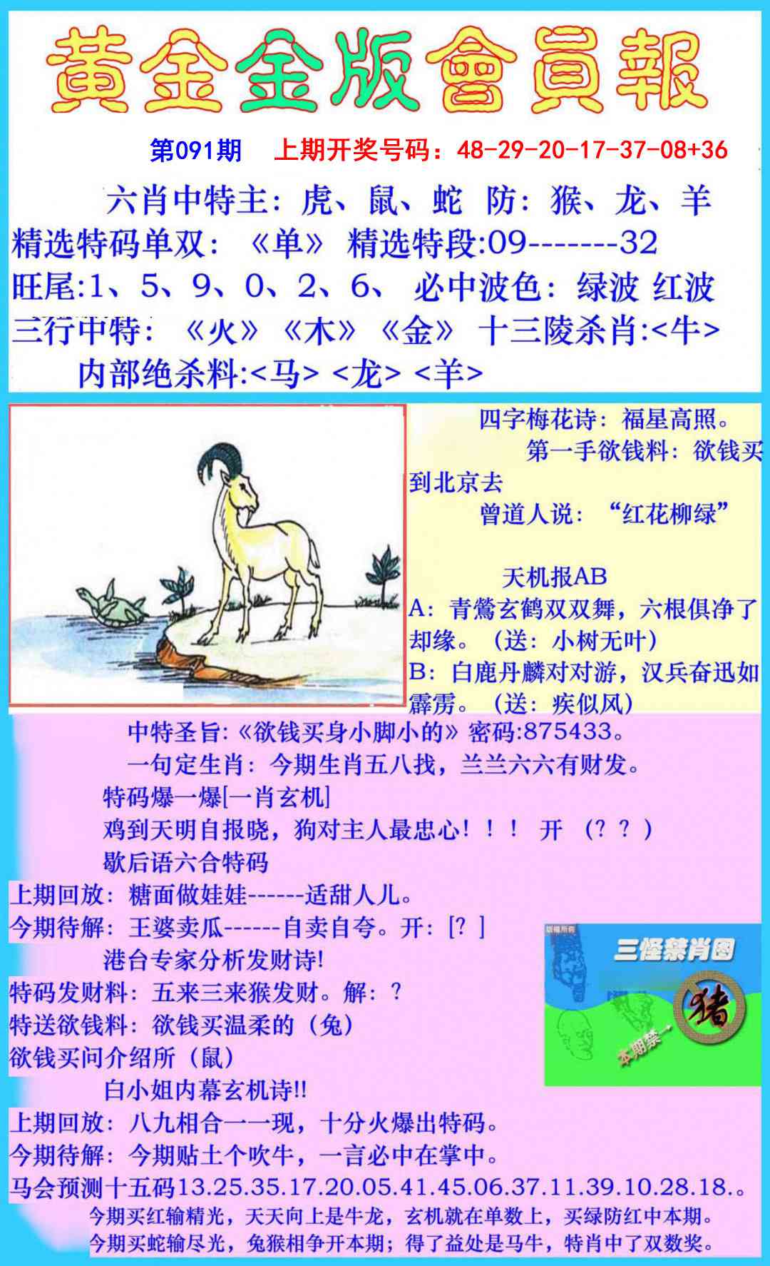 091期黄金金版会员报[图]