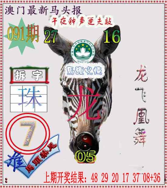 091期马头报[图]